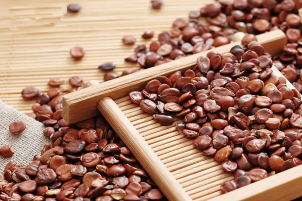 酸枣仁